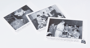 Black & White Pictures / Spring Things