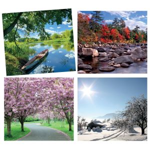 4 Seasons Pictures