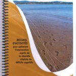 Recueil d'activités (FQLI)