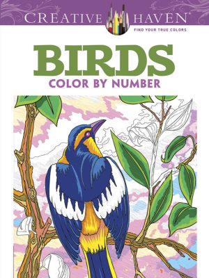Birds - Colour by Number
