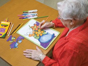 Create Your Own Puzzle