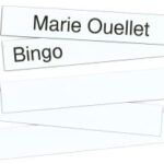 Languettes magnétiques (1)