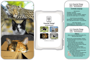 Favourite Things – Cat Collection | DVD & Cards