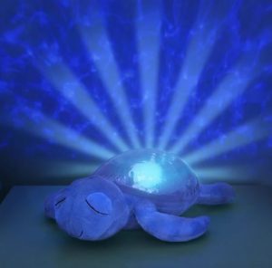 Tortue tranquille - Aqua