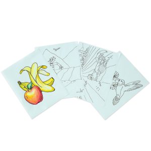 Illustrations à colorier - Campagne - Fleurs & Fruit (12)