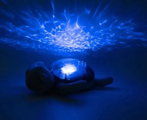 Tortue tranquille - Verte