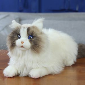 Chat Ragdoll