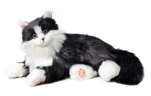 chat Domino companion