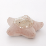 Fleur de lotus lumineuse