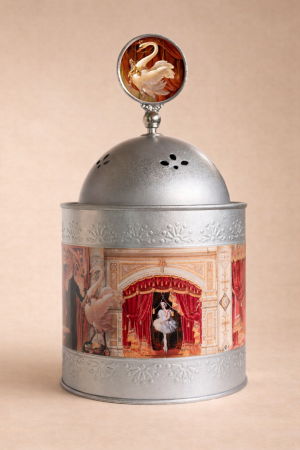 47017_lac-des-cygnes02