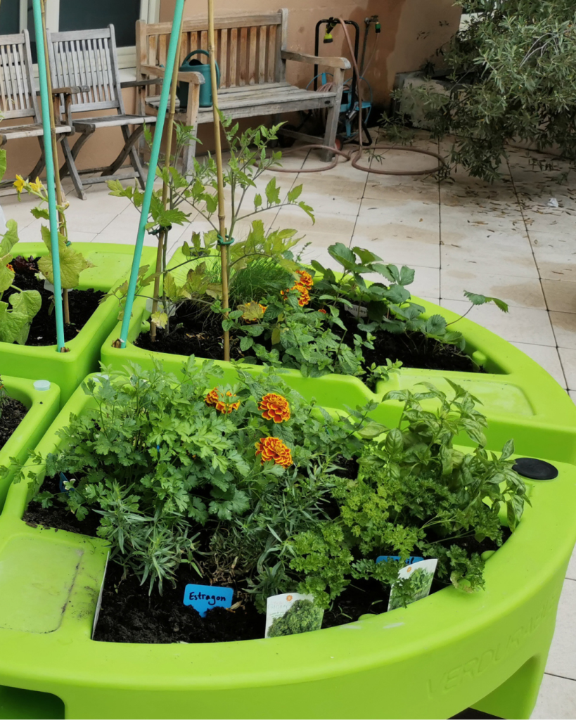 Hortense by Verdurable