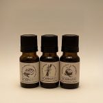 Ensemble scénario reminiscence